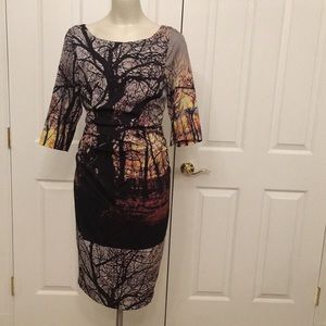 Tracy Reese winter landscape dress